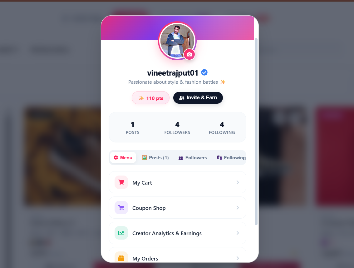 User profile and style feed